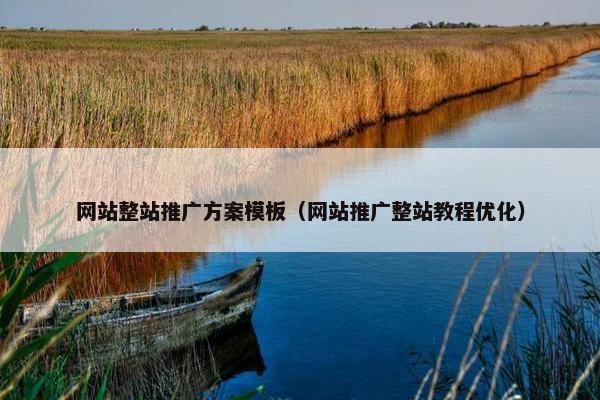 网站整站推广方案模板（网站推广整站教程优化）