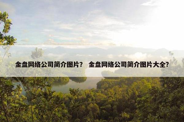 金盘网络公司简介图片？ 金盘网络公司简介图片大全？
