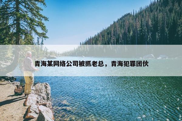 青海某网络公司被抓老总，青海犯罪团伙