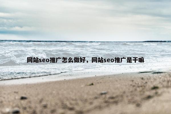 网站seo推广怎么做好，网站seo推广是干嘛