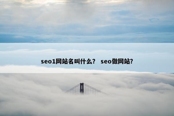 seo1网站名叫什么？ seo做网站？