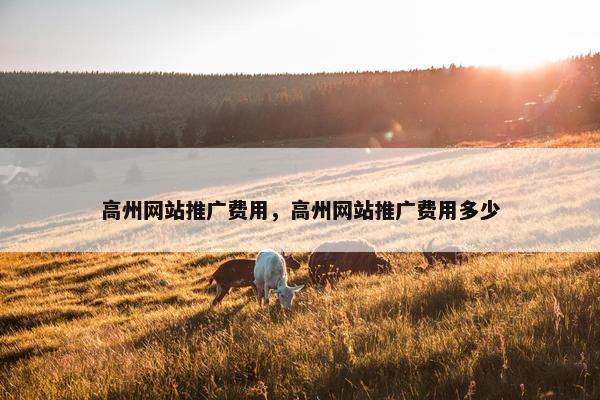 高州网站推广费用，高州网站推广费用多少