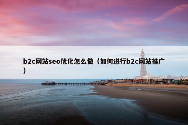 b2c网站seo优化怎么做（如何进行b2c网站推广）