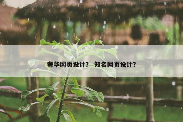 奢华网页设计？ 知名网页设计？