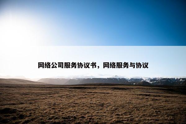 网络公司服务协议书，网络服务与协议
