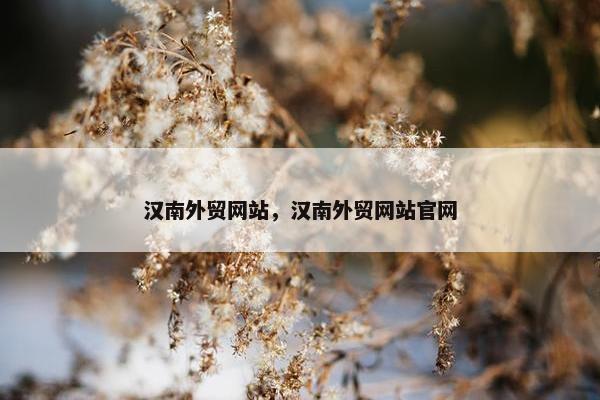 汉南外贸网站，汉南外贸网站官网