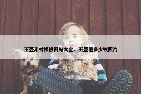 玉壶素材模板网站大全，玉壶值多少钱照片