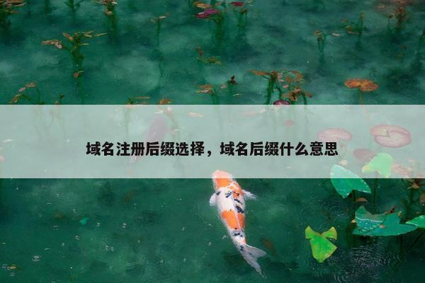域名注册后缀选择，域名后缀什么意思
