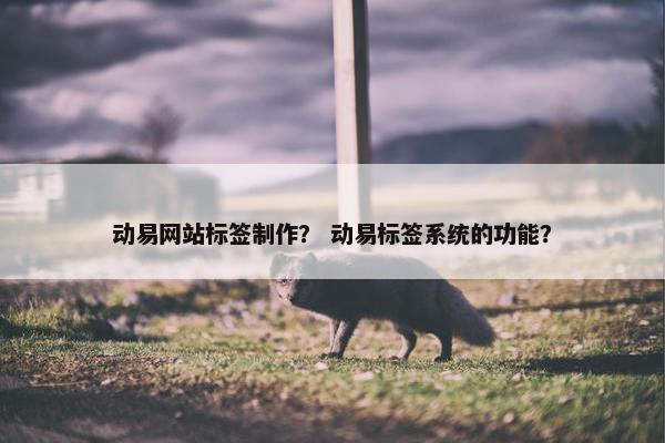 动易网站标签制作？ 动易标签系统的功能？