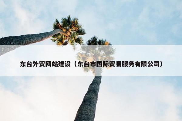 东台外贸网站建设（东台市国际贸易服务有限公司）