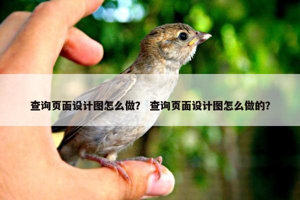 查询页面设计图怎么做？ 查询页面设计图怎么做的？