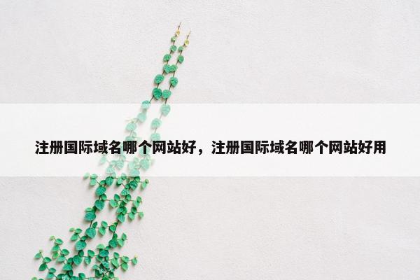 注册国际域名哪个网站好，注册国际域名哪个网站好用