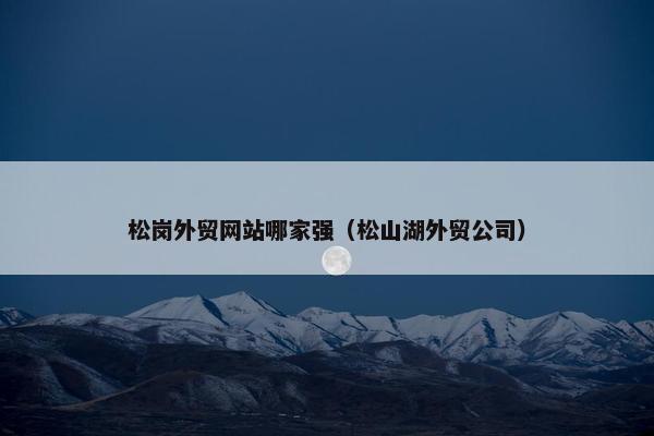 松岗外贸网站哪家强（松山湖外贸公司）
