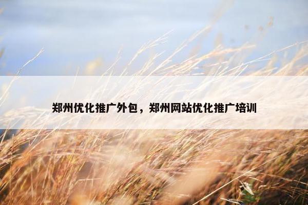 郑州优化推广外包，郑州网站优化推广培训