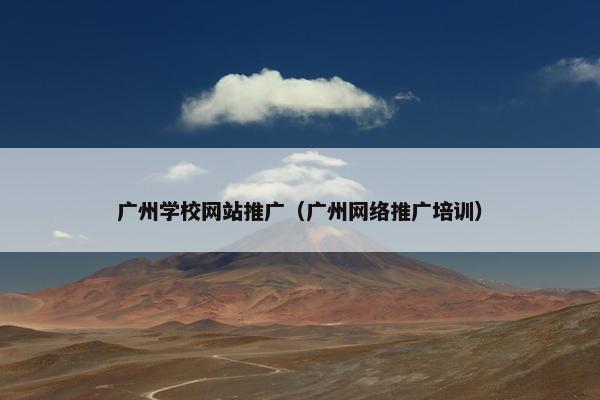 广州学校网站推广（广州网络推广培训）