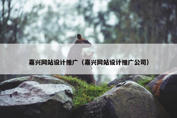 嘉兴网站设计推广（嘉兴网站设计推广公司）