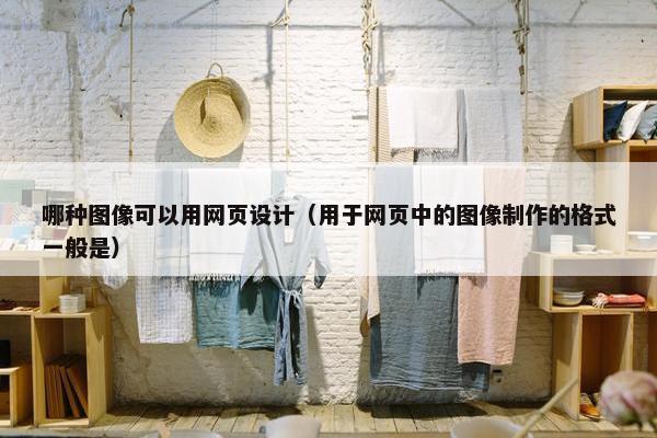 哪种图像可以用网页设计（用于网页中的图像制作的格式一般是）