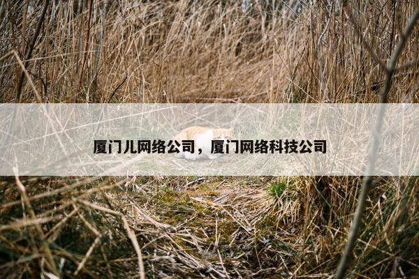 厦门儿网络公司，厦门网络科技公司