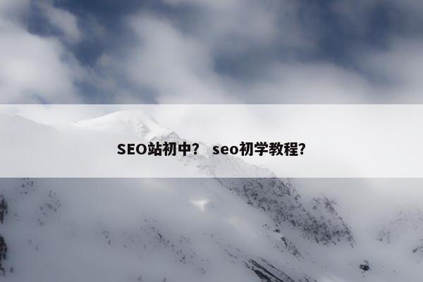 SEO站初中？ seo初学教程？