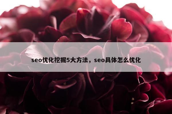 seo优化挖掘5大方法，seo具体怎么优化