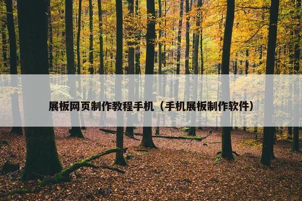 展板网页制作教程手机（手机展板制作软件）