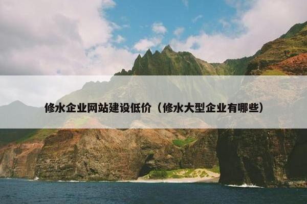 修水企业网站建设低价（修水大型企业有哪些）