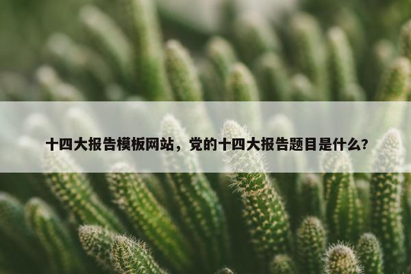 十四大报告模板网站，党的十四大报告题目是什么?