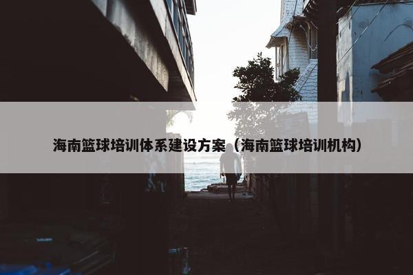 海南篮球培训体系建设方案（海南篮球培训机构）