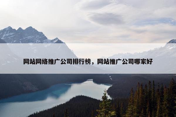 网站网络推广公司排行榜，网站推广公司哪家好