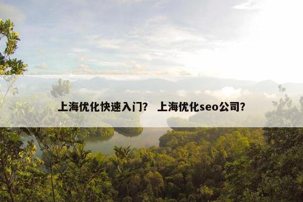 上海优化快速入门？ 上海优化seo公司？