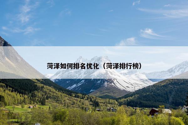 菏泽如何排名优化（菏泽排行榜）