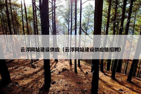 云浮网站建设供应（云浮网站建设供应链招聘）