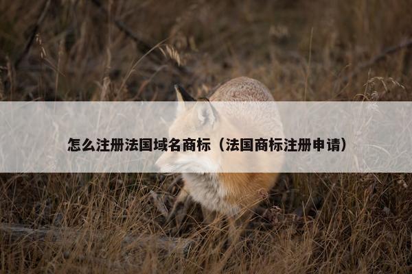 怎么注册法国域名商标（法国商标注册申请）