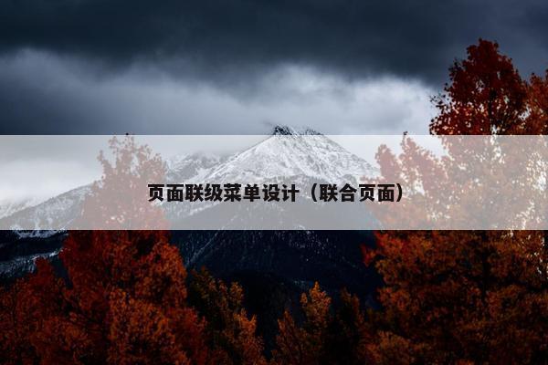 页面联级菜单设计（联合页面）