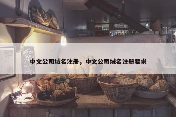 中文公司域名注册，中文公司域名注册要求