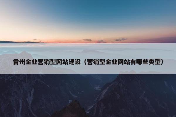 雷州企业营销型网站建设（营销型企业网站有哪些类型）