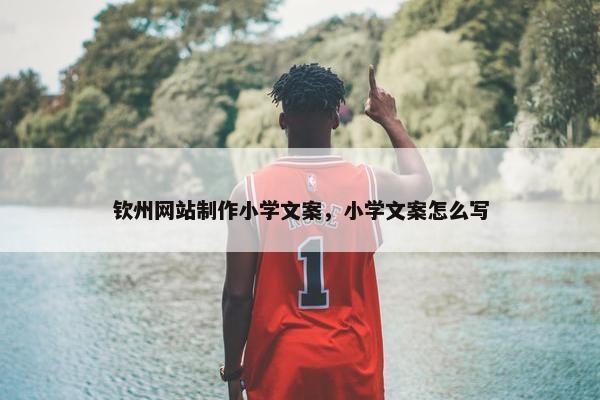 钦州网站制作小学文案，小学文案怎么写