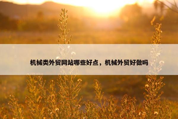机械类外贸网站哪些好点，机械外贸好做吗
