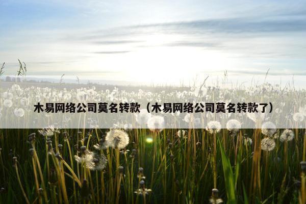 木易网络公司莫名转款（木易网络公司莫名转款了）