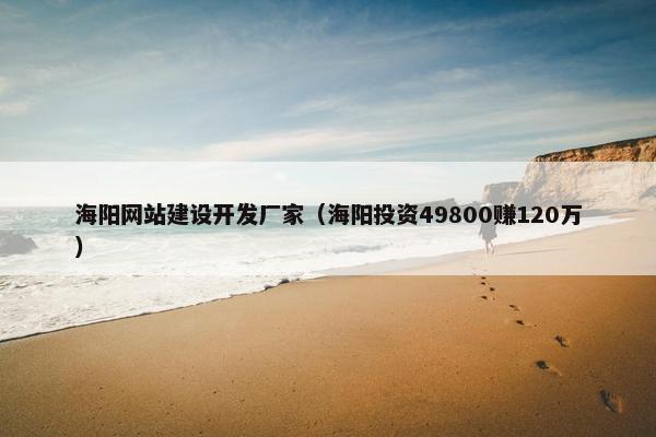 海阳网站建设开发厂家（海阳投资49800赚120万）