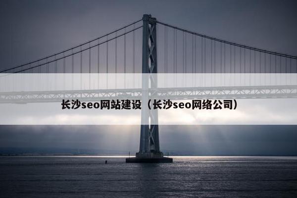 长沙seo网站建设（长沙seo网络公司）
