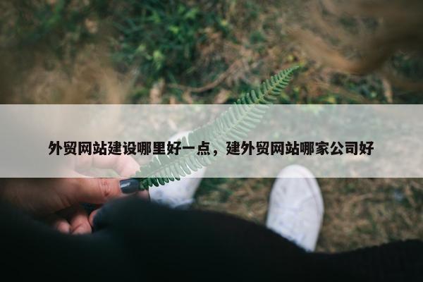外贸网站建设哪里好一点，建外贸网站哪家公司好