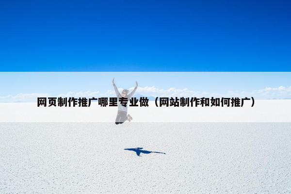 网页制作推广哪里专业做（网站制作和如何推广）