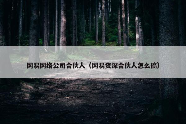 网易网络公司合伙人（网易资深合伙人怎么搞）