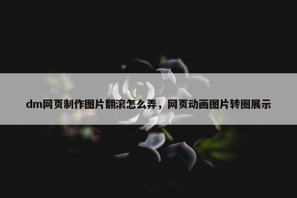 dm网页制作图片翻滚怎么弄，网页动画图片转圈展示
