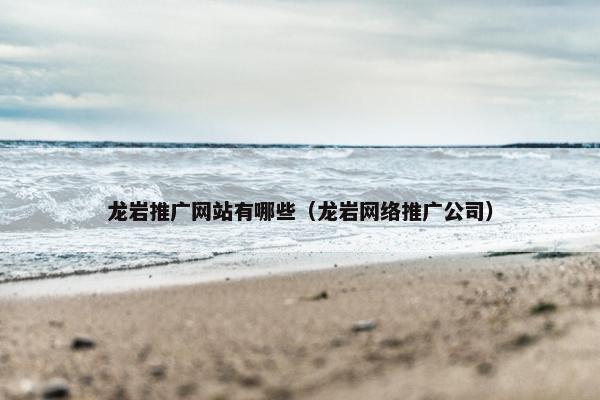 龙岩推广网站有哪些（龙岩网络推广公司）
