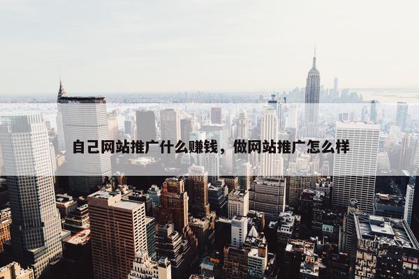 自己网站推广什么赚钱，做网站推广怎么样