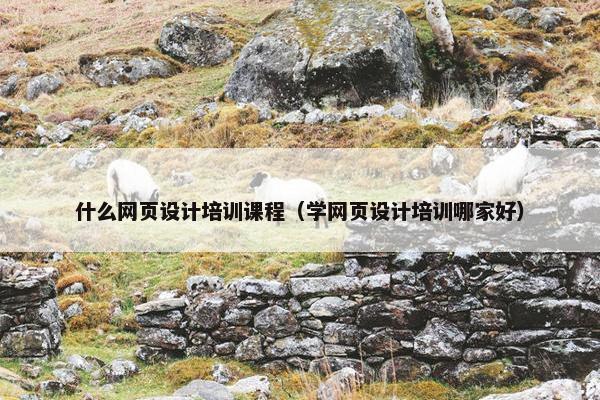 什么网页设计培训课程（学网页设计培训哪家好）