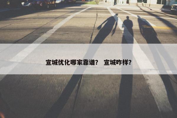 宣城优化哪家靠谱？ 宣城咋样？