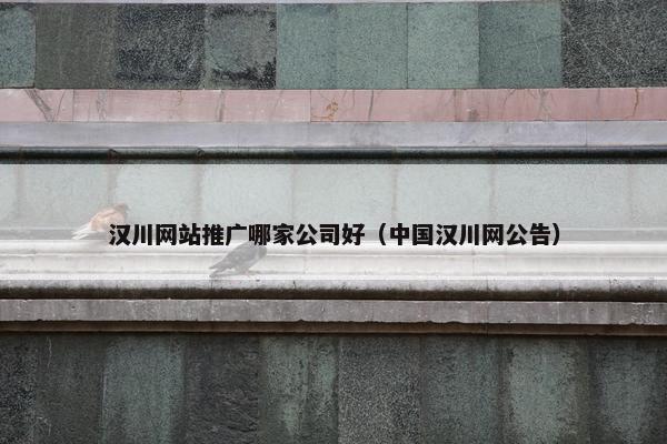 汉川网站推广哪家公司好（中国汉川网公告）